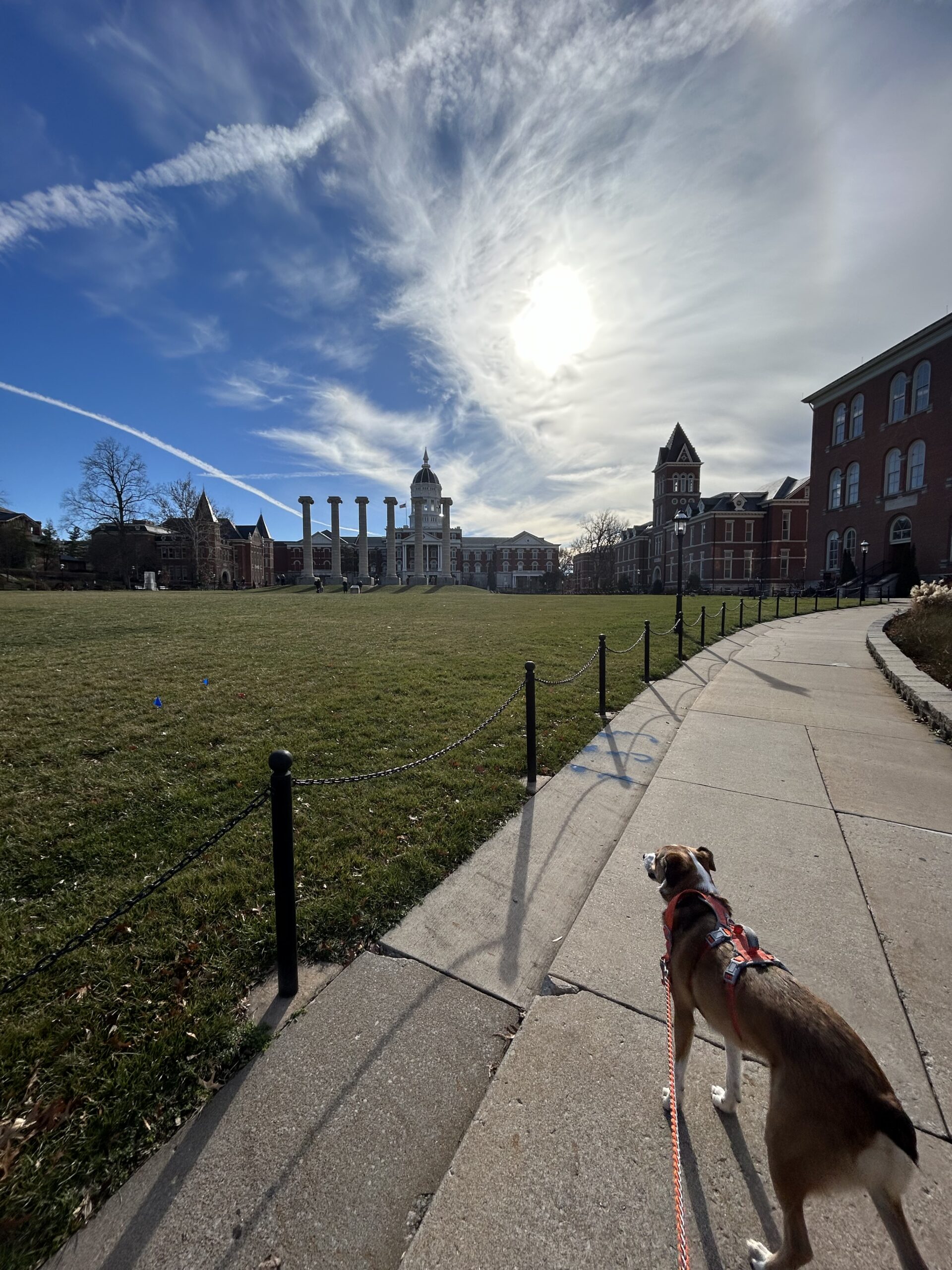 Benny‘s Blog: Dog–friendly Adventures in Columbia, MO